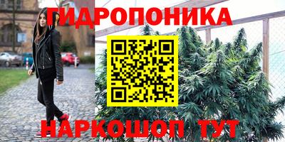 крисы Пугачёв