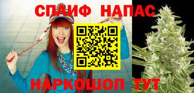 крисы Пыть-Ях