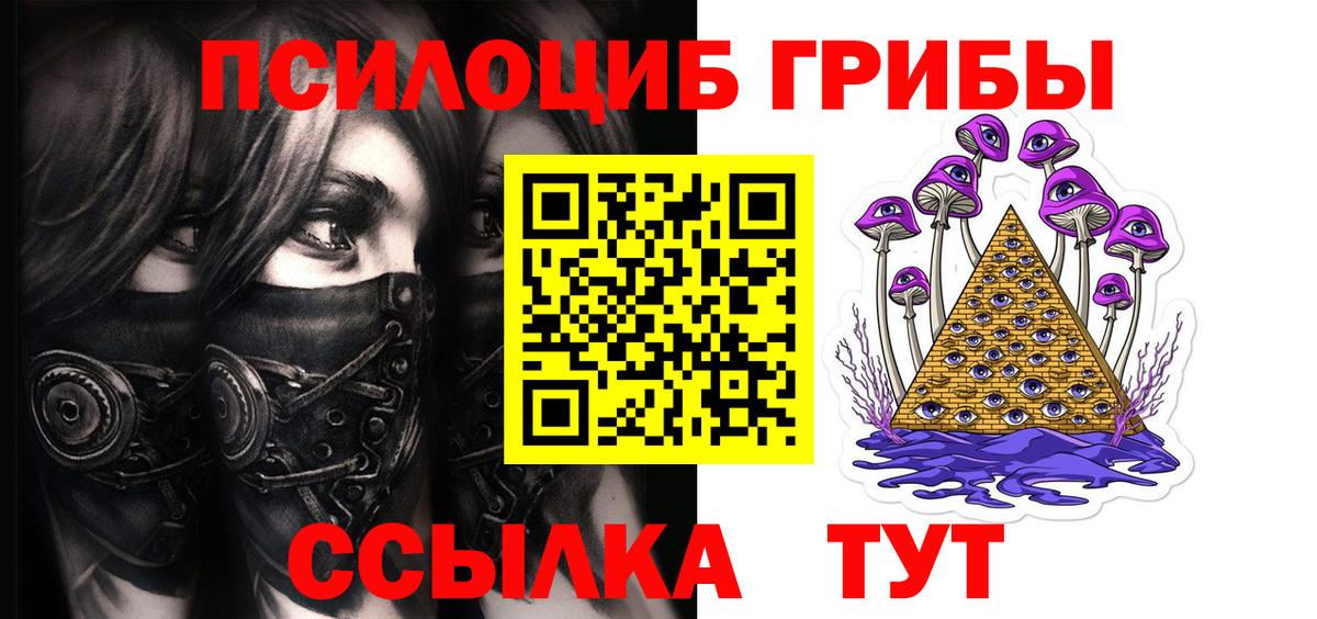 Галлюциногенные грибы прущие грибы  Вход с VPN  Рославль 
